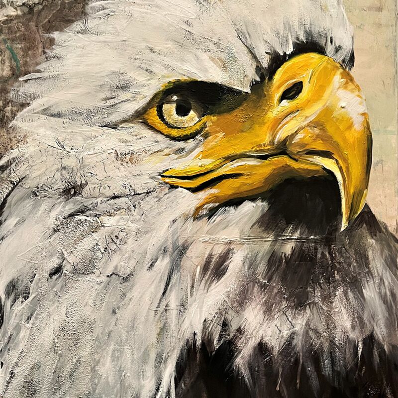 eagle, Acryl Mixedmedia, 60x80x2cm